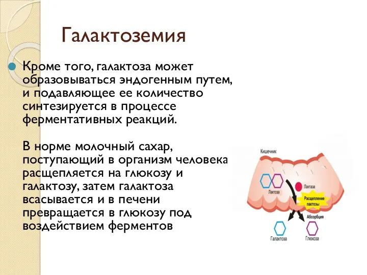 Галактоземия Кроме того, галактоза может образовываться эндогенным путем, и подавляющее