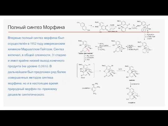Полный синтез Морфина Впервые полный синтез морфина был осуществлён в 1952 году американским