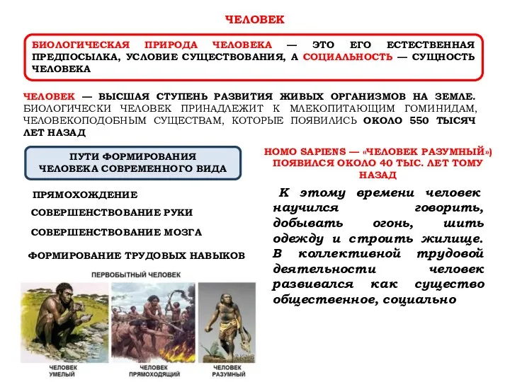 ЧЕЛОВЕК БИОЛОГИЧЕСКАЯ ПРИРОДА ЧЕЛОВЕКА — ЭТО ЕГО ЕСТЕСТВЕННАЯ ПРЕДПОСЫЛКА, УСЛОВИЕ