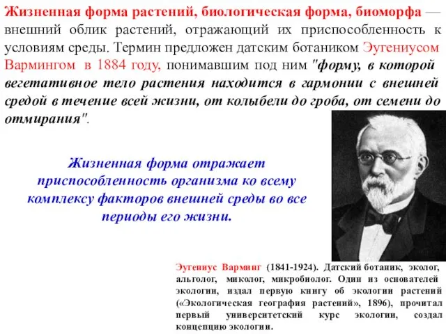 Жизненная форма растений, биологическая форма, биоморфа — внешний облик растений,