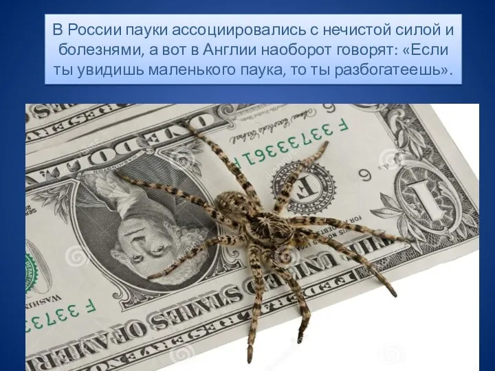 В России пауки ассоциировались с нечистой силой и болезнями, а