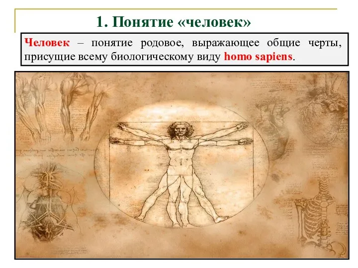 1. Понятие «человек» Человек – понятие родовое, выражающее общие черты, присущие всему биологическому виду homo sapiens.