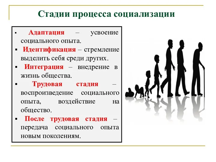 Стадии процесса социализации Адаптация – усвоение социального опыта. Идентификация –