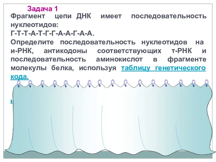 Фрагмент цепи ДНК имеет последовательность нуклеотидов: Г-Т-Т-А-Т-Г-Г-А-А-Г-А-А. Определите последовательность нуклеотидов