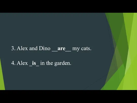 3. Alex and Dino __are__ my cats. 4. Alex _is_ in the garden.