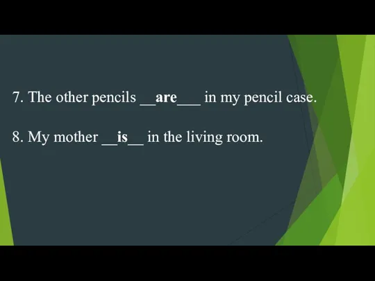 7. The other pencils __are___ in my pencil case. 8.