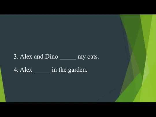 3. Alex and Dino _____ my cats. 4. Alex _____ in the garden.