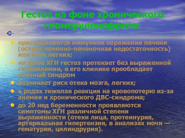 Гестоз на фоне хронического гломерулонефрита: присоединяется иммунное поражение печени (острая