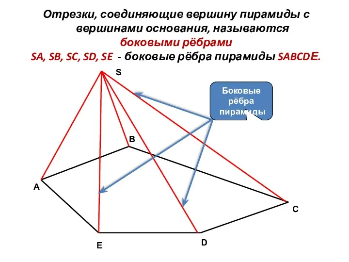 C Отрезки, соединяющие вершину пирамиды с вершинами основания, называются боковыми рёбрами SA, SB,