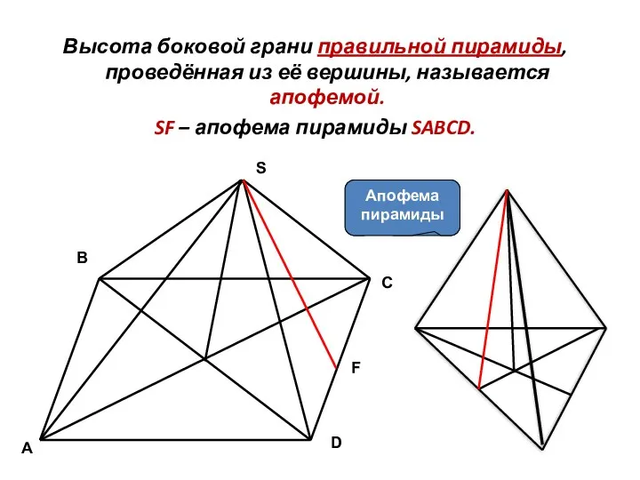 Высота боковой грани правильной пирамиды, проведённая из её вершины, называется апофемой. SF –