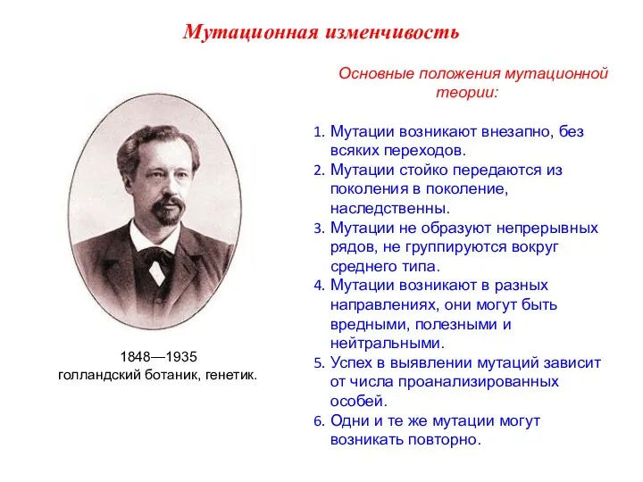 Основные положения мутационной теории: Мутации возникают внезапно, без всяких переходов. Мутации стойко передаются