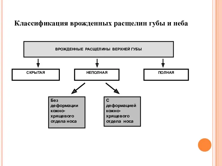 ВРОЖДЕННЫЕ РАСЩЕЛИНЫ ВЕРХНЕЙ ГУБЫ Без деформации кожно-хрящевого отдела носа С