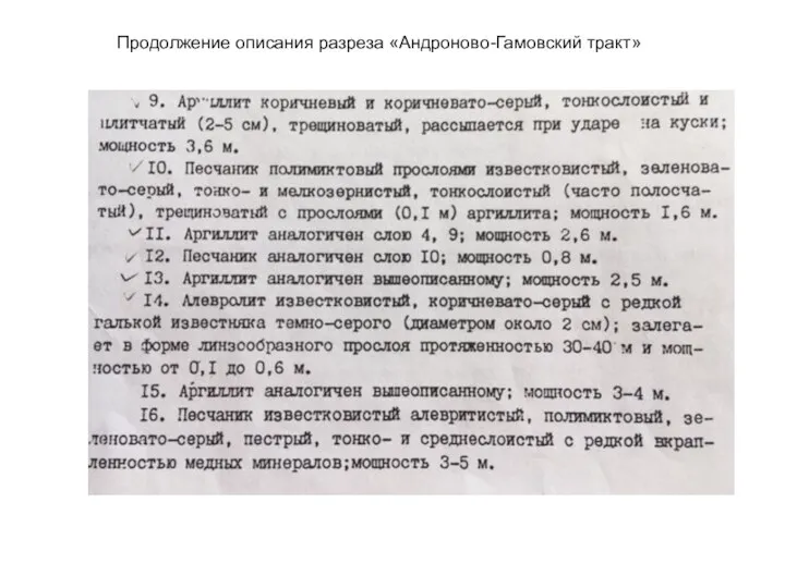 Продолжение описания разреза «Андроново-Гамовский тракт»