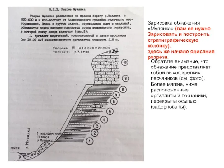 Зарисовка обнажения «Мулянка» (вам ее нужно Зарисовать и построить стратиграфическую