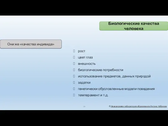 ©Независимая лаборатория образования Антона Чубукова рост цвет глаз внешность биологические потребности использование предметов,
