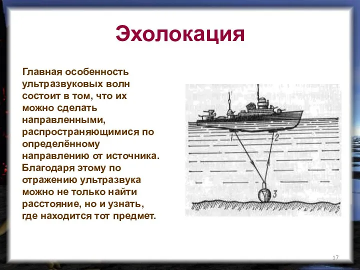 Эхолокация Главная особенность ультразвуковых волн состоит в том, что их