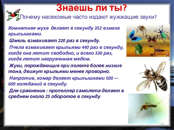 Знаешь ли ты? Почему насекомые часто издают жужжащие звуки? Комнатная