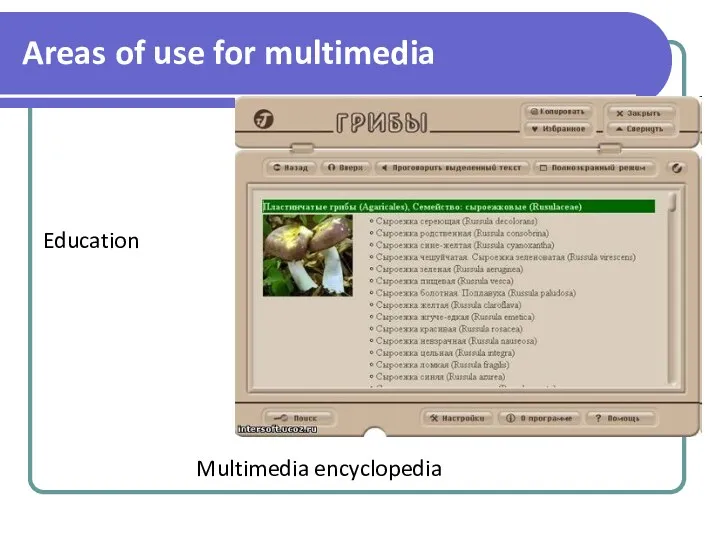 Education Multimedia encyclopedia Areas of use for multimedia