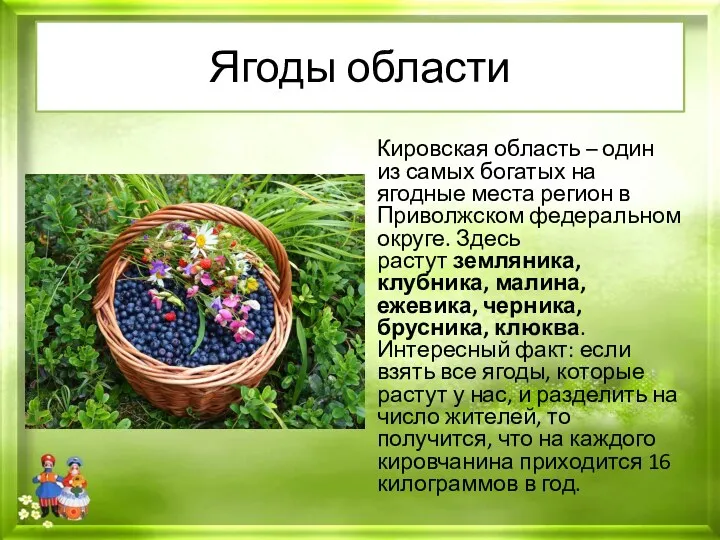 Ягоды области Кировская область – один из самых богатых на ягодные места регион
