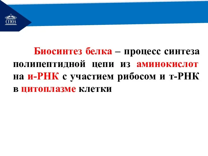 РЕМОНТ Биосинтез белка – процесс синтеза полипептидной цепи из аминокислот