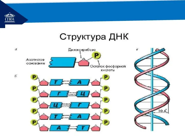 РЕМОНТ