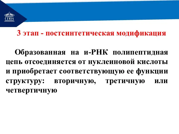 РЕМОНТ 3 этап - постсинтетическая модификация Образованная на и-РНК полипептидная