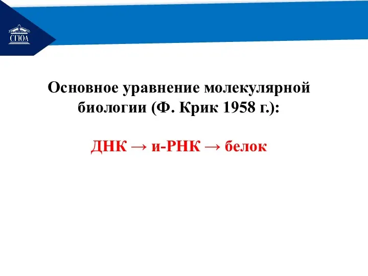 РЕМОНТ Основное уравнение молекулярной биологии (Ф. Крик 1958 г.): ДНК → и-РНК → белок