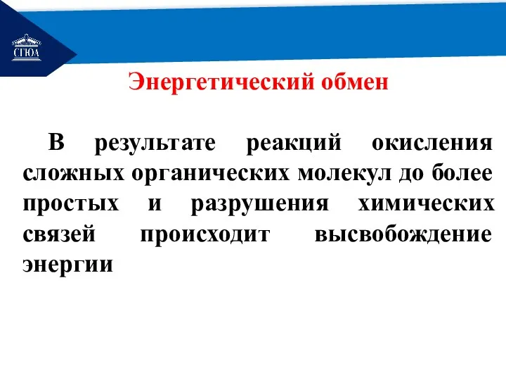 РЕМОНТ Энергетический обмен В результате реакций окисления сложных органических молекул