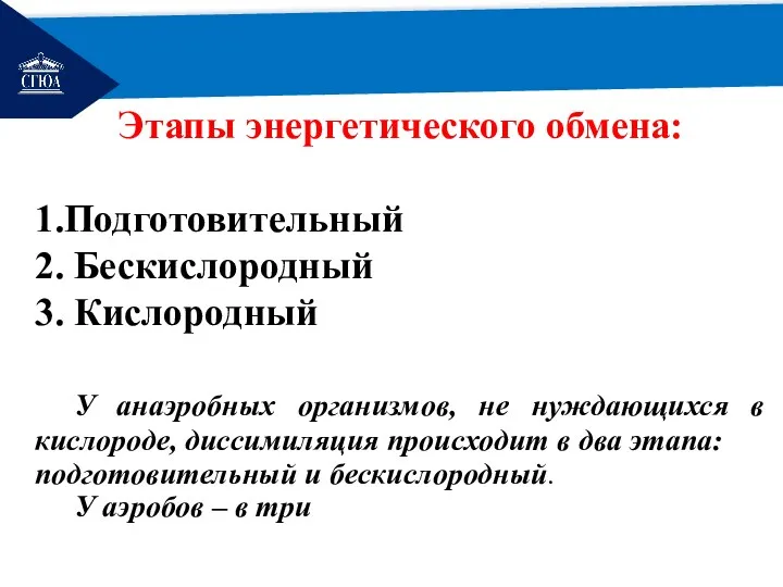 РЕМОНТ Этапы энергетического обмена: 1.Подготовительный 2. Бескислородный 3. Кислородный У