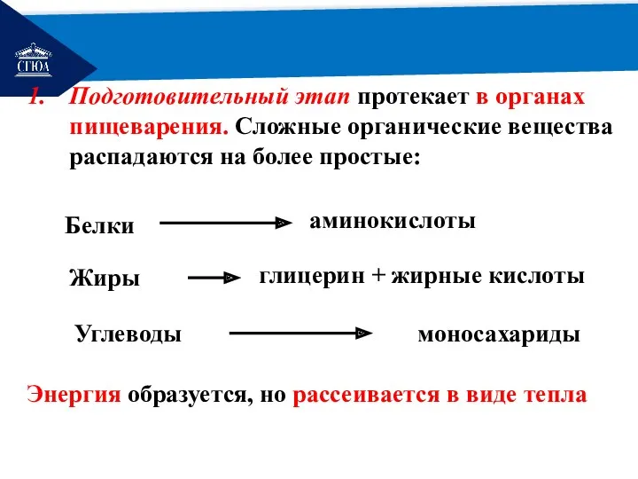 РЕМОНТ Подготовительный этап протекает в органах пищеварения. Сложные органические вещества