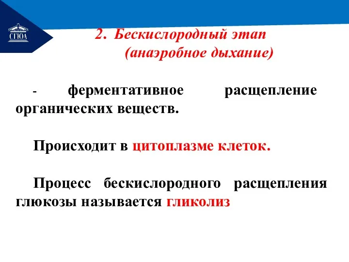 РЕМОНТ 2. Бескислородный этап (анаэробное дыхание) - ферментативное расщепление органических