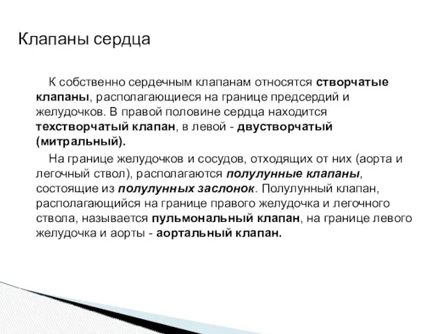 К собственно сердечным клапанам относятся створчатые клапаны, располагающиеся на границе