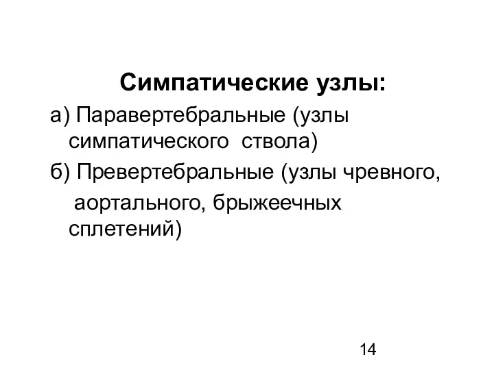 Симпатические узлы: а) Паравертебральные (узлы симпатического ствола) б) Превертебральные (узлы чревного, аортального, брыжеечных сплетений)