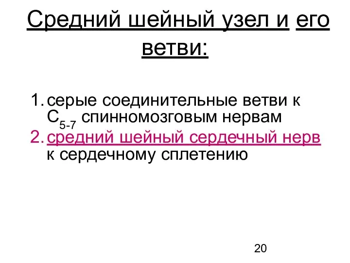 серые соединительные ветви к С5-7 спинномозговым нервам средний шейный сердечный