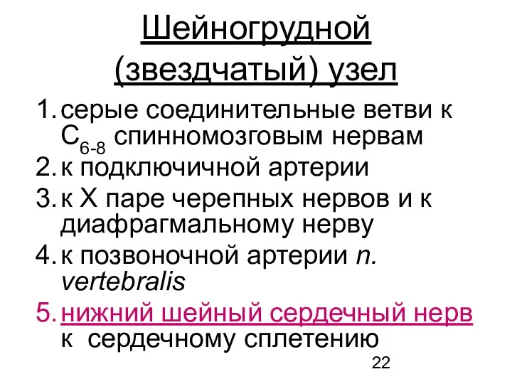 Шейногрудной (звездчатый) узел серые соединительные ветви к С6-8 спинномозговым нервам