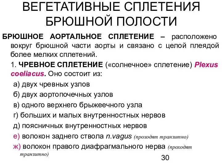 ВЕГЕТАТИВНЫЕ СПЛЕТЕНИЯ БРЮШНОЙ ПОЛОСТИ БРЮШНОЕ АОРТАЛЬНОЕ СПЛЕТЕНИЕ – расположено вокруг