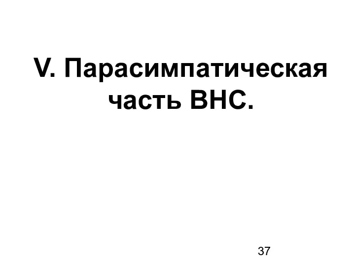 V. Парасимпатическая часть ВНС.