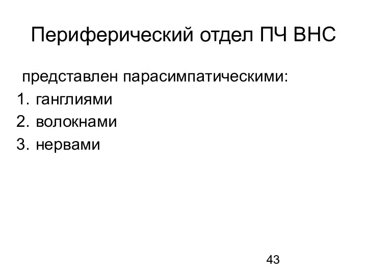 Периферический отдел ПЧ ВНС представлен парасимпатическими: ганглиями волокнами нервами