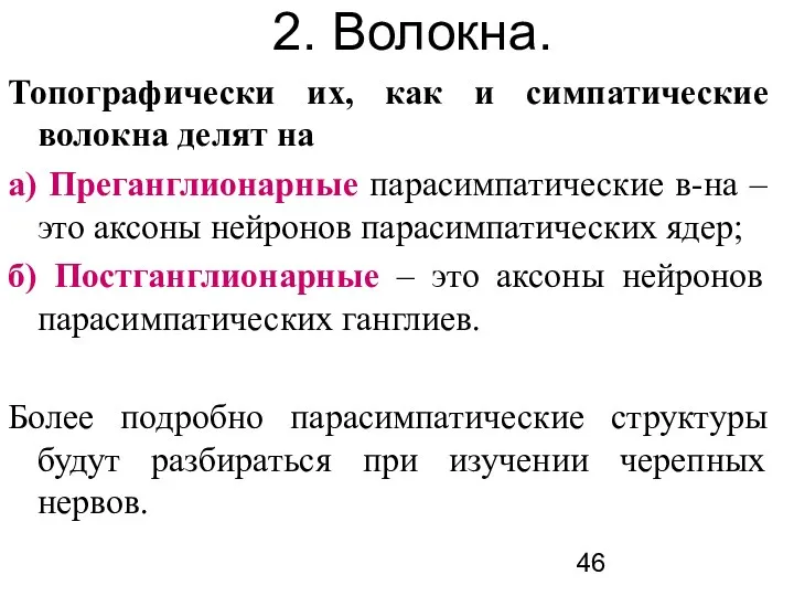 2. Волокна. Топографически их, как и симпатические волокна делят на