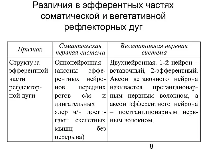 Различия в эфферентных частях соматической и вегетативной рефлекторных дуг