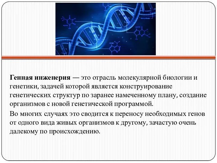 Генная инженерия — это отрасль молекулярной биологии и генетики, задачей