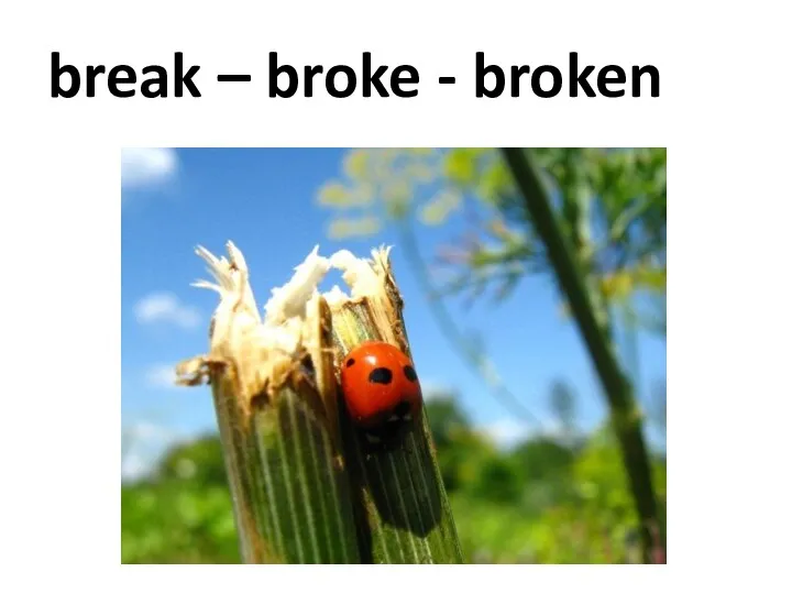 break – broke - broken