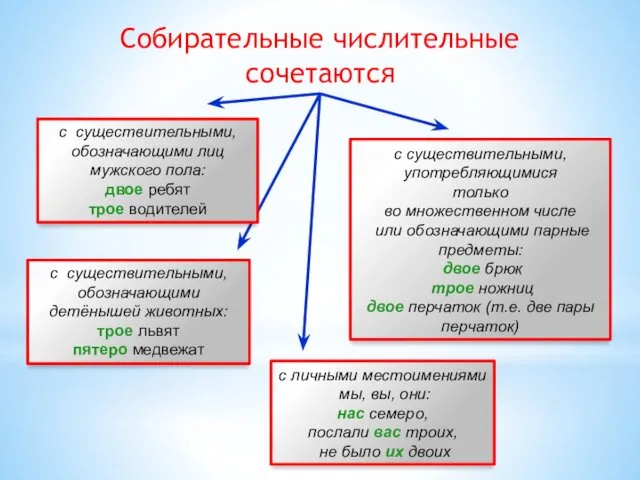 Собирательные числительные сочетаются с существительными, обозначающими лиц мужского пола: двое