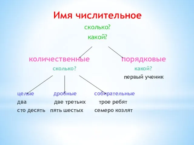 Имя числительное сколько? какой? количественные порядковые сколько? какой? первый ученик