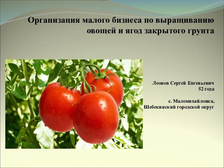 Организация малого бизнеса по выращиванию овощей и ягод закрытого грунта