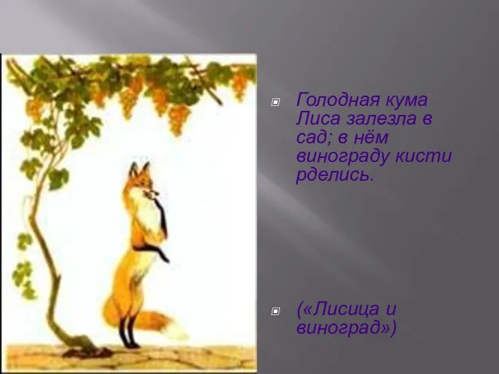 Голодная кума Лиса залезла в сад; в нём винограду кисти рделись. («Лисица и виноград»)