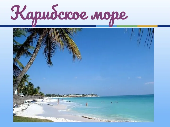 Карибское море