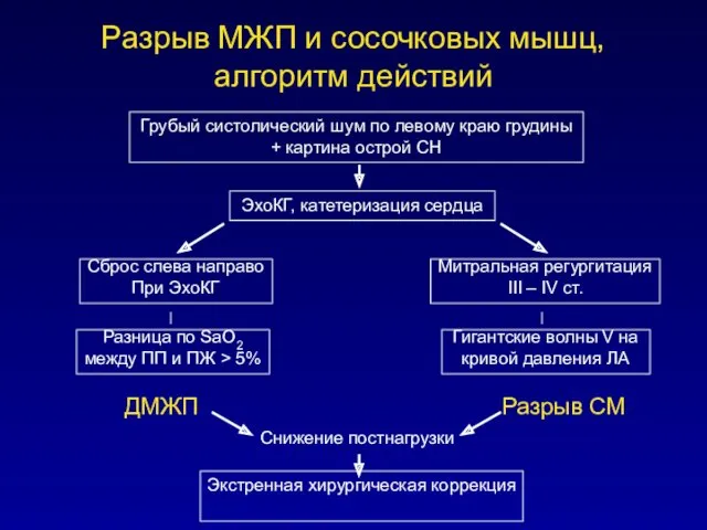 Разрыв МЖП и сосочковых мышц, алгоритм действий Грубый систолический шум