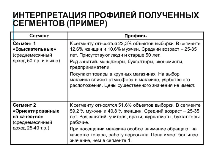 ИНТЕРПРЕТАЦИЯ ПРОФИЛЕЙ ПОЛУЧЕННЫХ СЕГМЕНТОВ (ПРИМЕР)