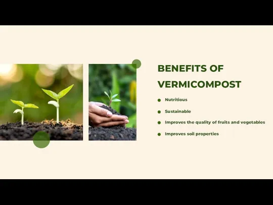 BENEFITS OF VERMICOMPOST Nutritious Sustainable Improves the quality of fruits and vegetables Improves soil properties